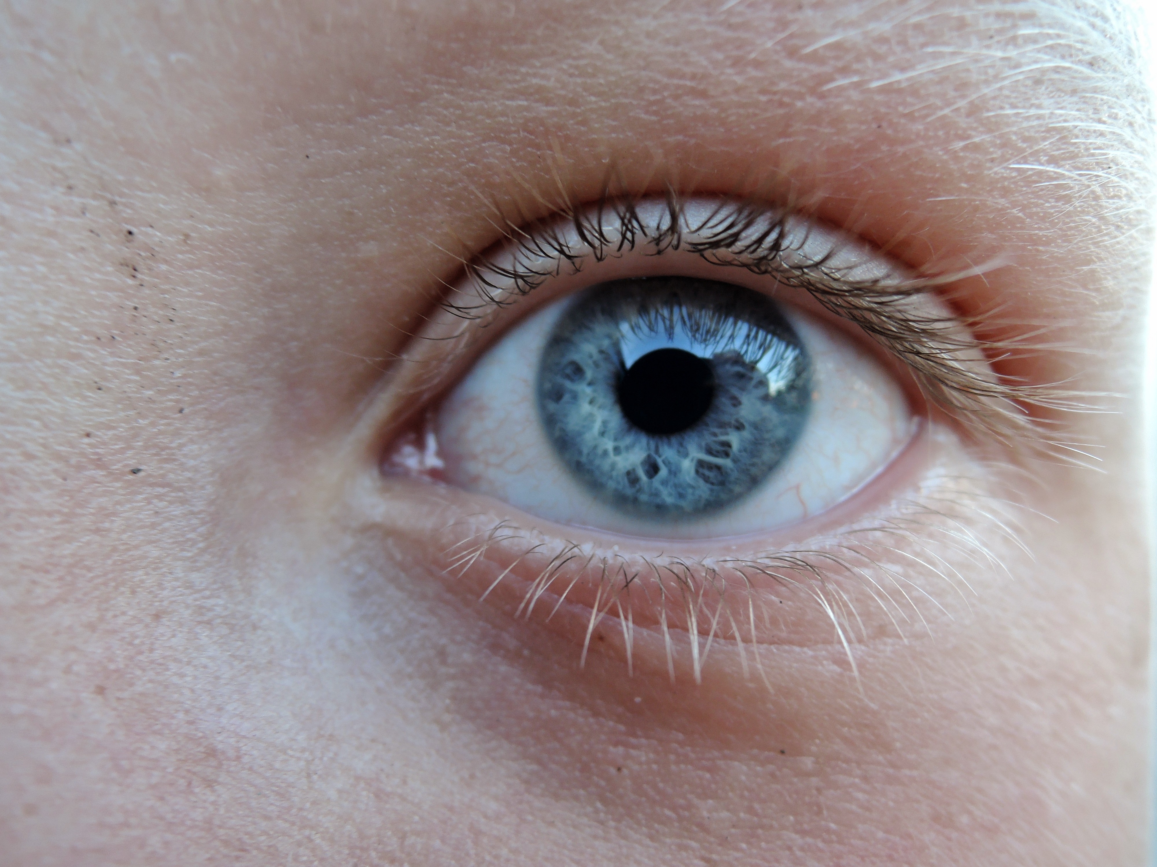 What You NEED To Know About Your Kids Eyes and Screens School Mum