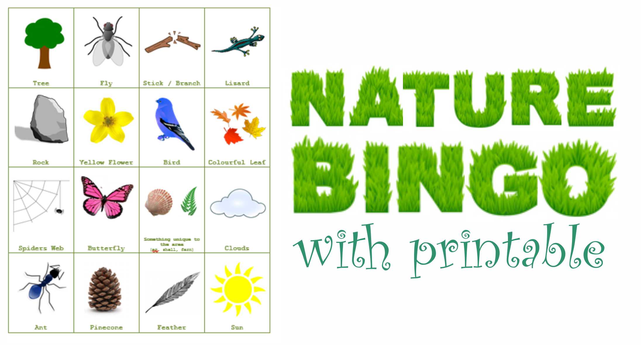Nature Bingo Free Printable Pdf
